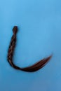 A chopped-off braid of human hair in an L shape