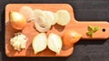 Chopped onion and slices of onion on chopping board Royalty Free Stock Photo