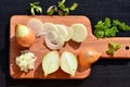 Chopped onion and slices of onion on chopping board Royalty Free Stock Photo