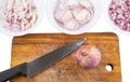 Chopped Onions III Royalty Free Stock Photo