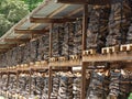 Chopped and packaged firewood in a forest wearhouse being prepared for commercial sale. No people