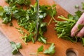 Chopped parsley on wooden desk