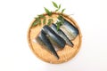 Chopped raw mackerel on the bamboo colander Royalty Free Stock Photo