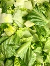 Chopped romaine lettuce