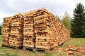Chopped and Stacked Firewood on a Field Royalty Free Stock Photo