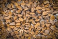 Chopped and stacked pile of pine and birch wood. Texture, background Royalty Free Stock Photo