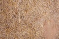 Chopped straw from grain harvest on soil as background Royalty Free Stock Photo