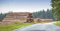 Chopped tree logs stacked in a forest along a road with copyspace. Rustic landscape with stumps of firewood, timber and Royalty Free Stock Photo