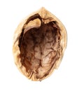 Chopped walnut isolated white background Royalty Free Stock Photo