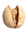 Chopped walnut isolated white background Royalty Free Stock Photo