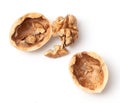 Chopped walnut isolated white background Royalty Free Stock Photo