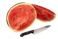 Chopped watermelon