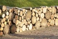 Chopped wood logs for sale use in fire place at home stored on forest woods green biomass energy Royalty Free Stock Photo