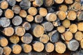 Chopped wood roundwood close up Royalty Free Stock Photo