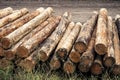 Chopped wood, woodpile, firewood - stack