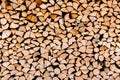 Chopped wooden logs stacked in woodpile Royalty Free Stock Photo