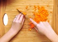 Chopping carrots Royalty Free Stock Photo