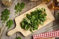 Chopping fresh tetterwort or greater celandine plant, to prepara herbal tincture Royalty Free Stock Photo