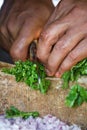 Chopping green vegetables , preperation