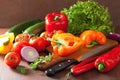 Chopping healthy vegetables pepper tomato salad onion chilli on Royalty Free Stock Photo