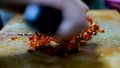 Chopping red chili pepper on cuting board in kitchen