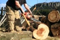 Chopping trees for firewood, country job Royalty Free Stock Photo