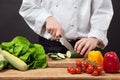 Chopping vegetables Royalty Free Stock Photo