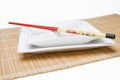 Chopsticks on angular dish parallel Royalty Free Stock Photo