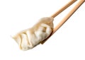 chopsticks holding a piece of gyoza