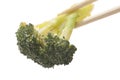 Chopsticks holding stir fried broccoli