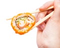 Chopsticks holds california ebi roll close up