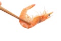 chopsticks and Shrimp of boiled prawn seafood isolated white background Royalty Free Stock Photo