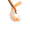 chopsticks and Shrimp of boiled prawn seafood white background