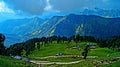 Chopta Meadow, Uttarakhand Royalty Free Stock Photo