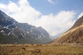 Chopta Valley, North Sikkim, India