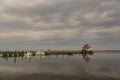 Choptank River Lighthouse