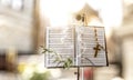 Choral concept for Palm Sunday celebration with lectern in church Royalty Free Stock Photo