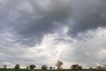 A choreographic and apocalyptic sky with beautiful clouds and in the distance the silhouette of small trees Royalty Free Stock Photo