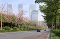 Chorisia blossom trees by binhulu road, adobe rgb