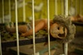 Old broken doll on children`s bed in abandoned kindergarten