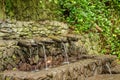 Chorros de Epina - magical water sources of La Gomera Royalty Free Stock Photo