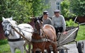 A ride on a street carries a couple of horses and people