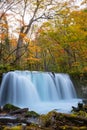 Choshi Otaki Falls ( Oirase Stream ) in sunny day