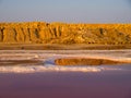Chott el Djerid, Tunisia Royalty Free Stock Photo