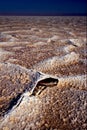 Chott el jerid,salt lake Royalty Free Stock Photo