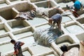 Chouara Tannery in Morocco, with round stone vessels for dyeing and softening leather in Fez el Bali Royalty Free Stock Photo