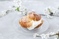 Choux Bun with whipped cream and sugar powder on top. Choux pastry dessert. French cream puff Royalty Free Stock Photo
