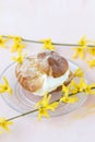 Choux Bun with whipped cream and sugar powder on top. Choux pastry dessert. French cream puff Royalty Free Stock Photo
