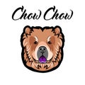 Chow Chow muzzle. Dog Portrait. Dog breed. Face, head. Vector.