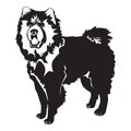 Chow chow dog black silhouette, vector illustration